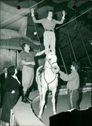 Princess Marie-Gabrielle trick riding - Vintage Photograph