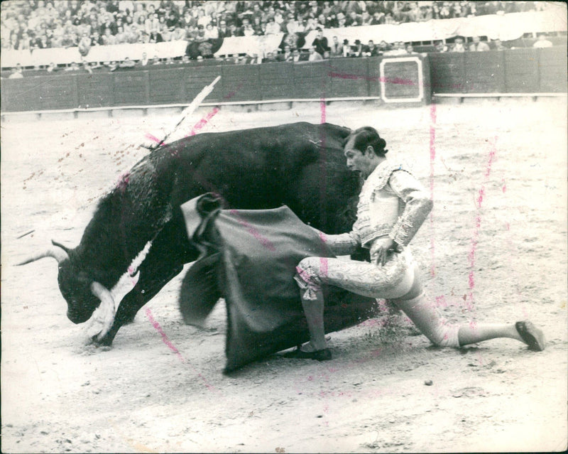 José Humberto Eslava "Pepe" Cáceres - Vintage Photograph