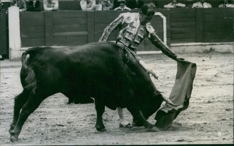 José Humberto Eslava "Pepe" Cáceres - Vintage Photograph