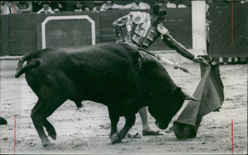 José Humberto Eslava "Pepe" Cáceres - Vintage Photograph