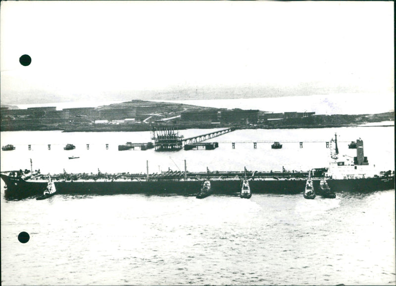 The giant tanker "Universe Ireland" - Vintage Photograph