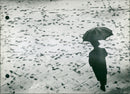 Snowfall on sidewalks - Vintage Photograph