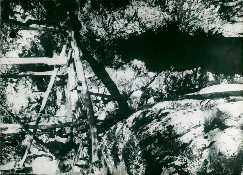 Yves Peeters is saved - Vintage Photograph