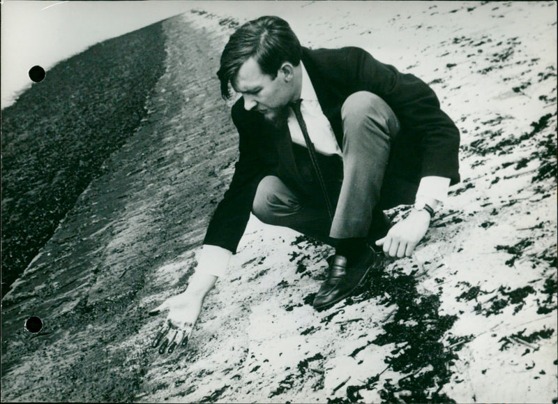 Black under the sea - Vintage Photograph