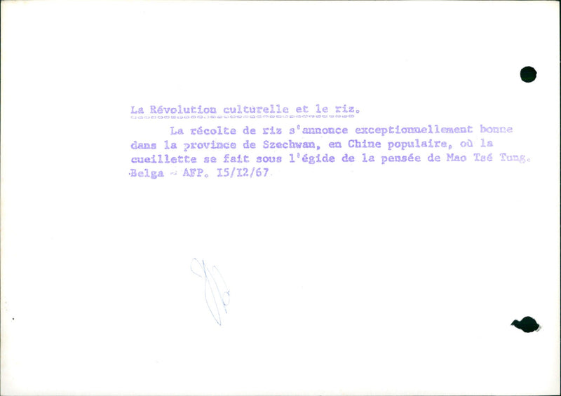 The Cultural Revolution and rice - Vintage Photograph