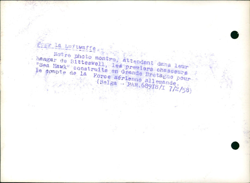 Sea Hawk fighters - Vintage Photograph