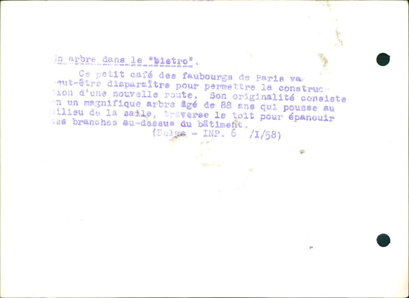 The tree in the Bistro - Vintage Photograph