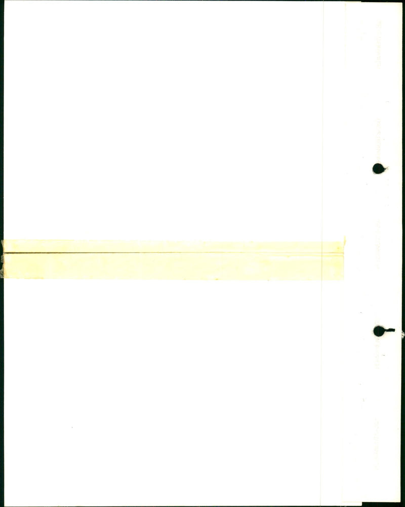 Reindeer in Antwerp zoo enjoy the cold. - Vintage Photograph