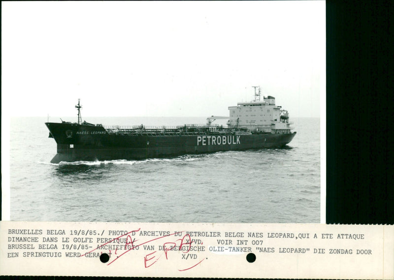 Belgian oil ship 'Naess Leopard' - Vintage Photograph
