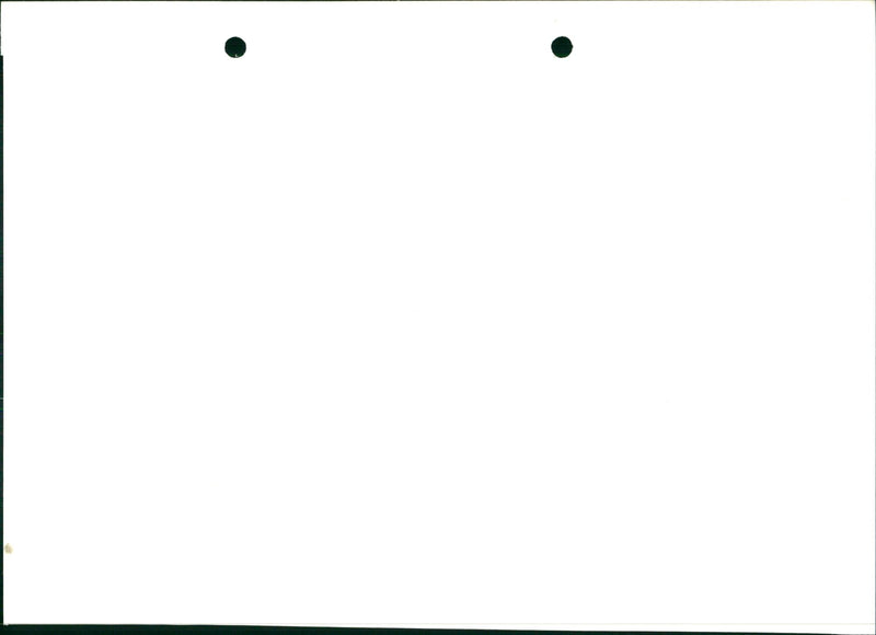 Mother duck with her chicks at the 'Zwin' nature reserve - Vintage Photograph