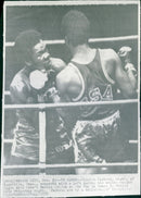 1975 Panamerican Games in Mexico- Boxing - Vintage Photograph