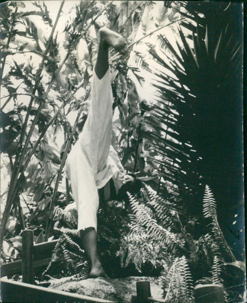 Taekwon-Do - Vintage Photograph