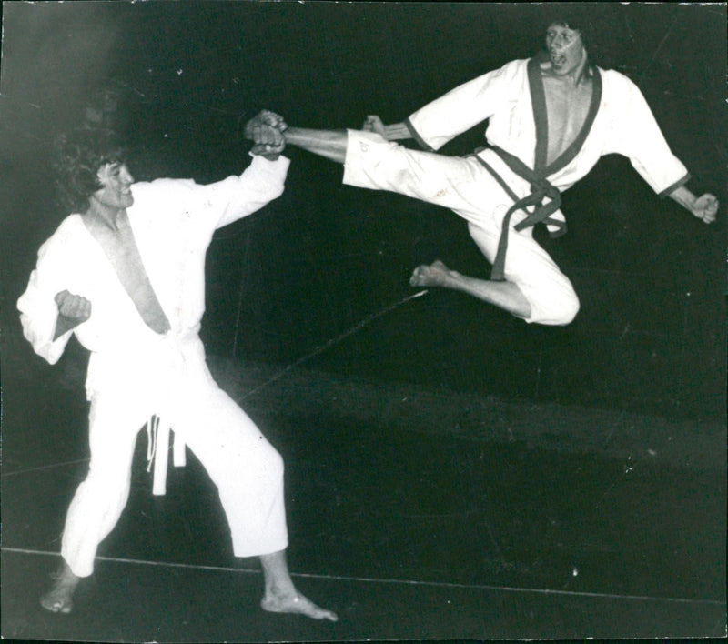 Taekwon-Do - Vintage Photograph