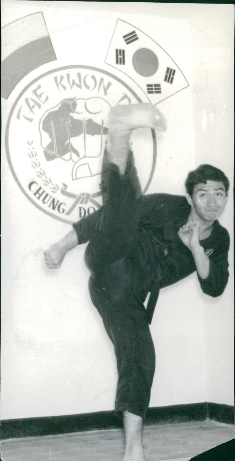 Taekwon-Do - Vintage Photograph