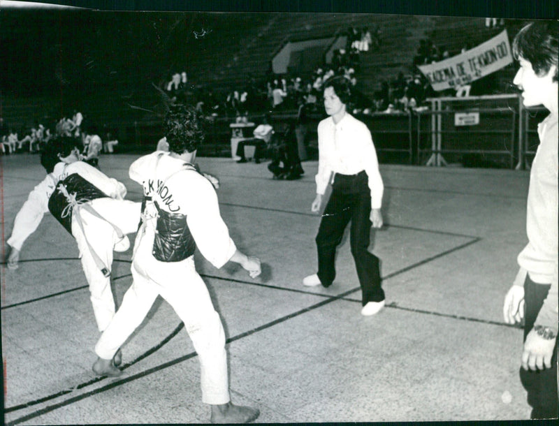 Taekwon-Do - Vintage Photograph