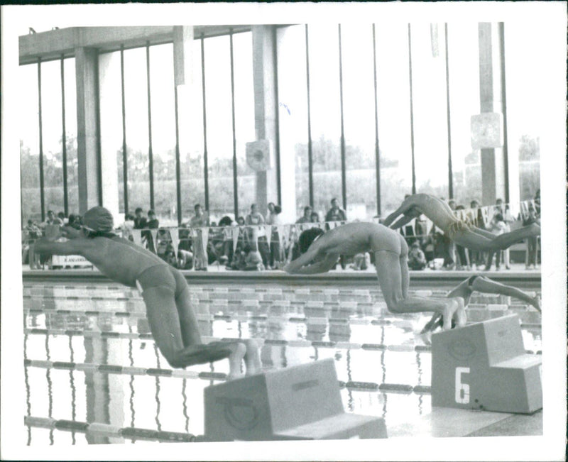 Swimming Contestants - Vintage Photograph