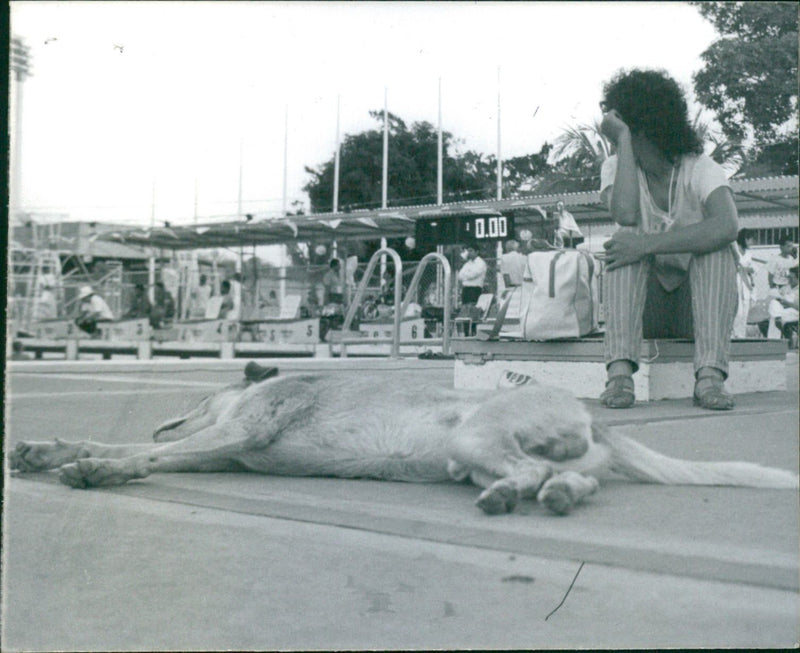 Downtime During the 11th Bolivarian Games - Vintage Photograph