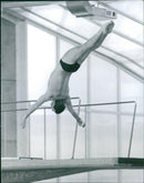 Diving Competition in the Pan American Games - Vintage Photograph