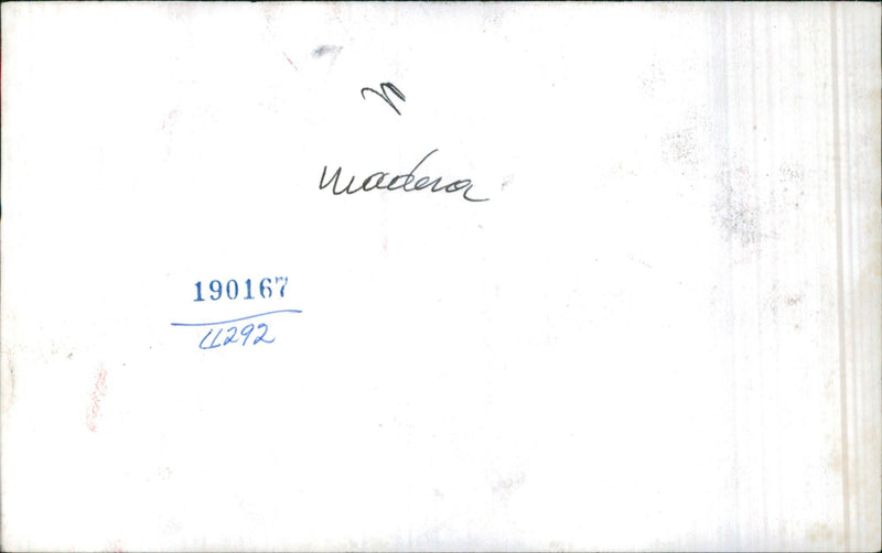 A collection of wood - Vintage Photograph