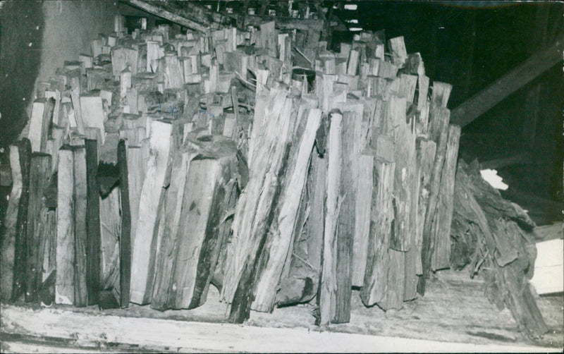 A collection of wood - Vintage Photograph