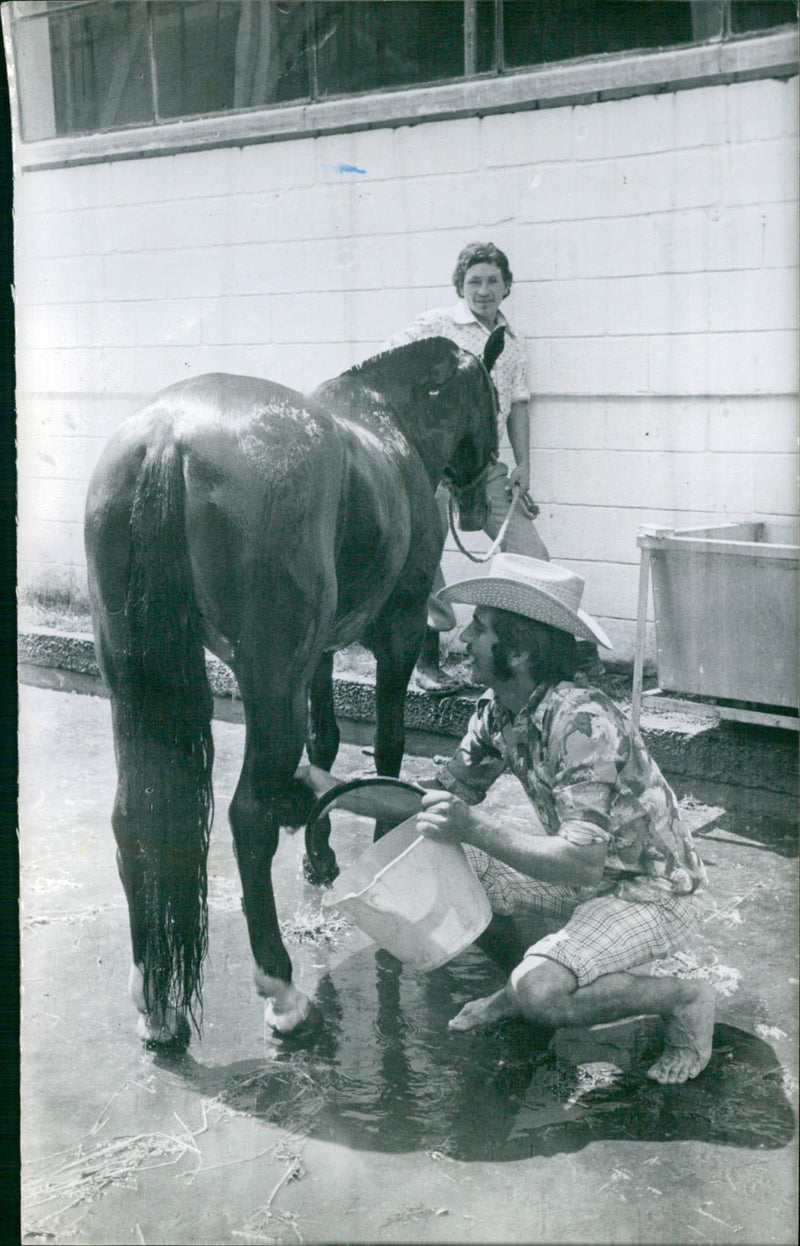 Equestrian Show - Vintage Photograph