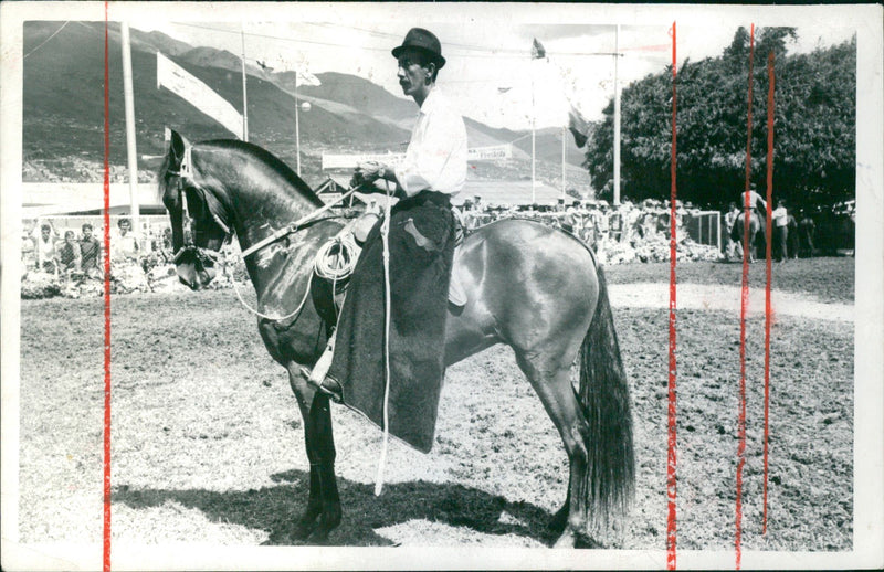 Equestrian Exposition - Vintage Photograph