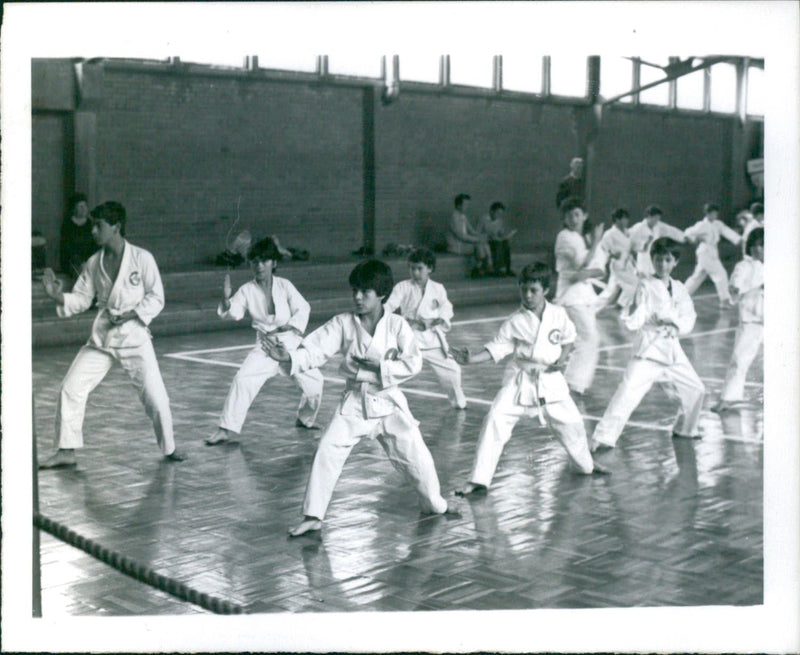 Karate do - Vintage Photograph