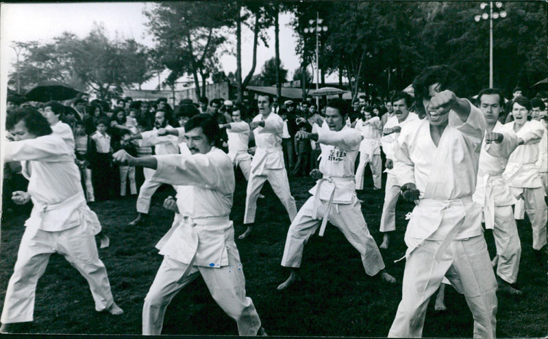 Karate - Vintage Photograph