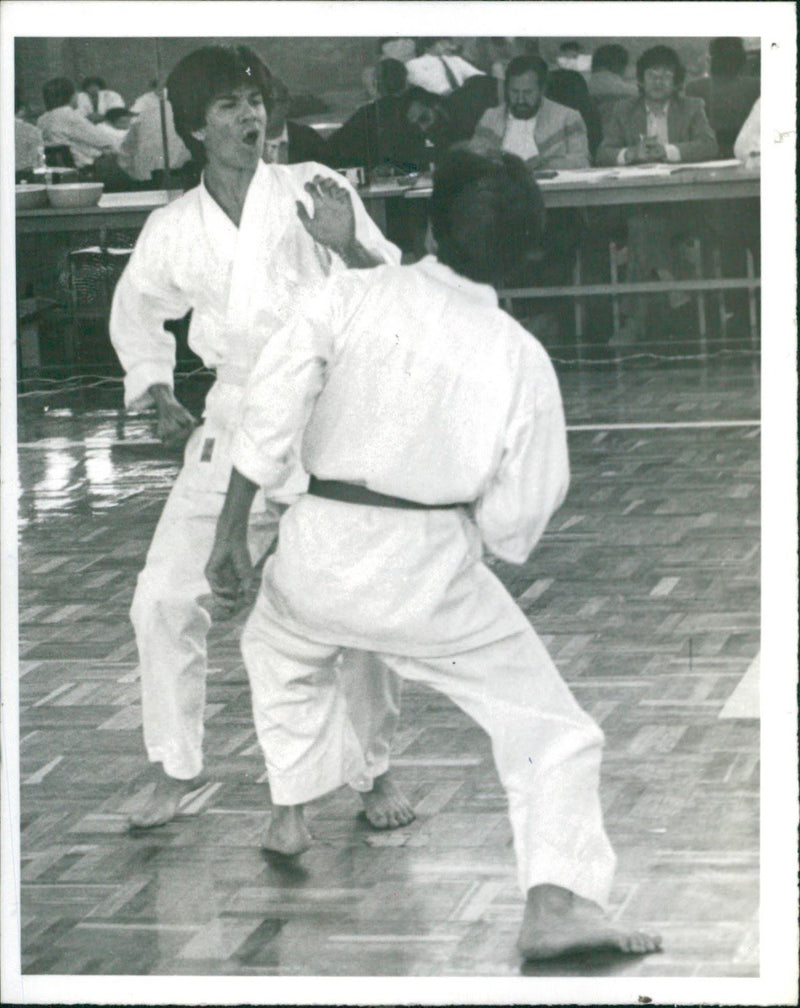 Karate - Vintage Photograph