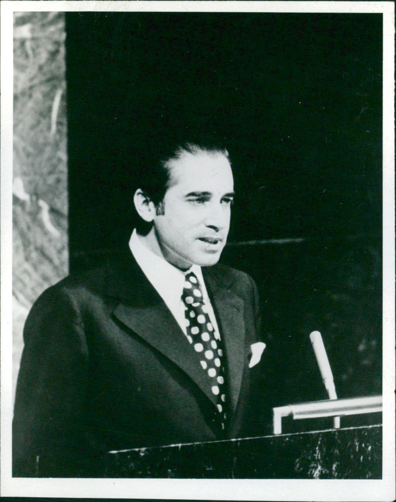 Rui Manuel de Medeiros D'Espiney Patricio - Vintage Photograph