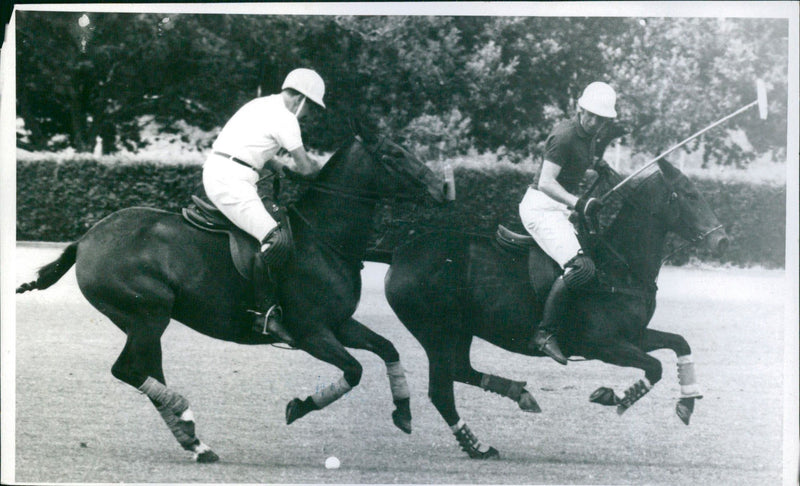 Polo Sport - Vintage Photograph