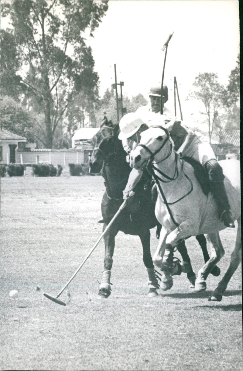 Polo Game - Vintage Photograph