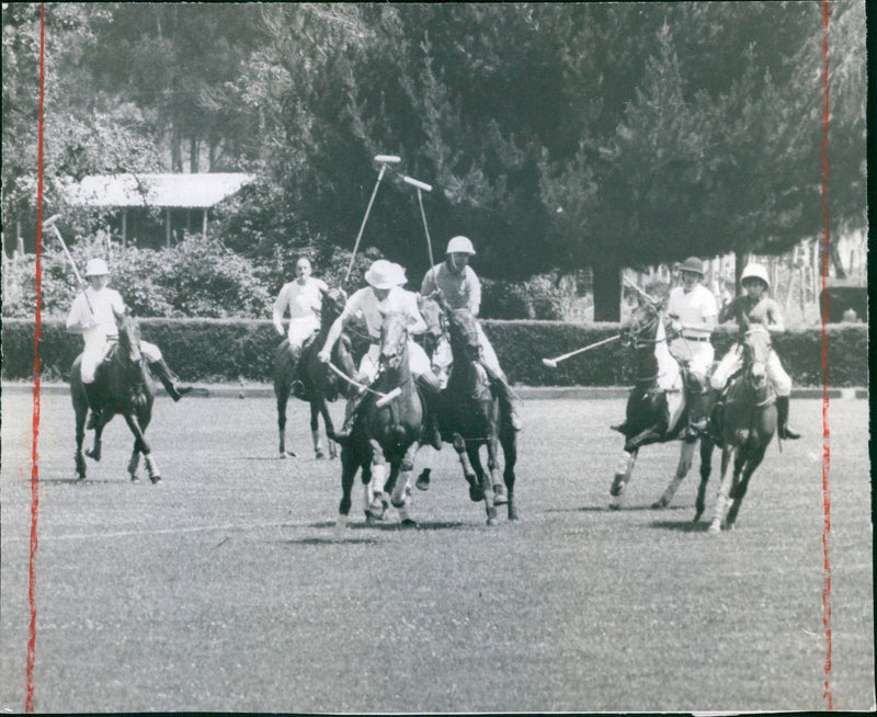 Polo Game:  Rojos and Azules - Vintage Photograph