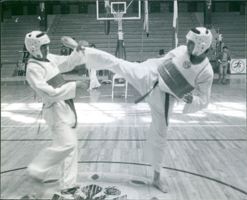 Taekwondo International Cup - Vintage Photograph