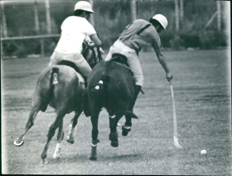 Polo Matches - Vintage Photograph