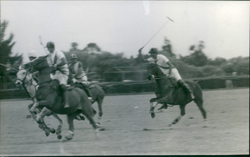 Polo Match - Vintage Photograph