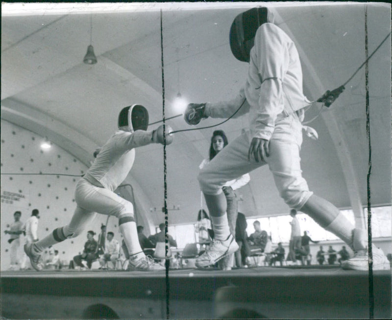 Fencing - Vintage Photograph