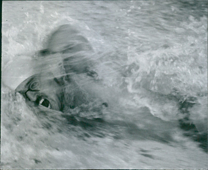 Finswimming - Vintage Photograph
