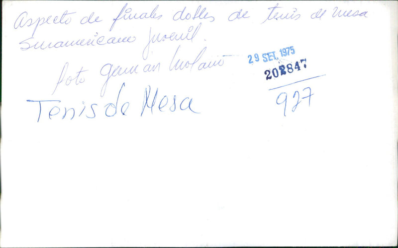 Table tennis finale - Vintage Photograph