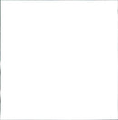 Volkswagen Beetle - Vintage Photograph