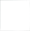 Volkswagen Beetle - Vintage Photograph