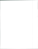 Mitsubishi Diamante LS - Vintage Photograph