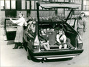1983 Audi 100 Avant - Vintage Photograph