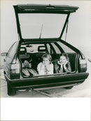1983 Audi 100 Avant - Vintage Photograph