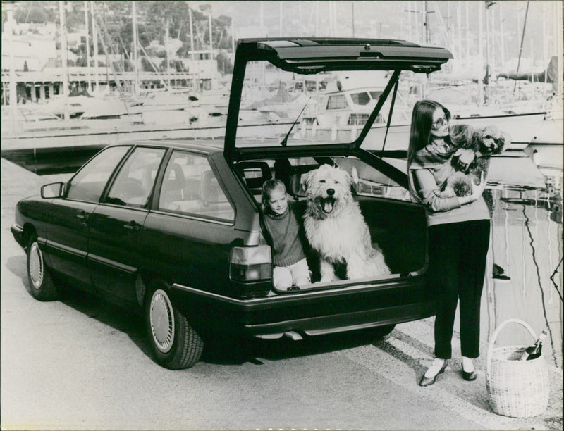 1983 Audi 100 Avant - Vintage Photograph