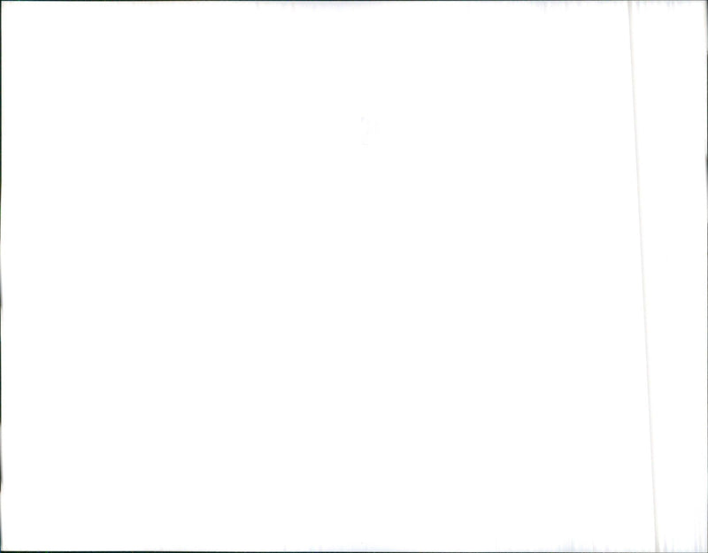 1983 Audi 100 CS - Vintage Photograph