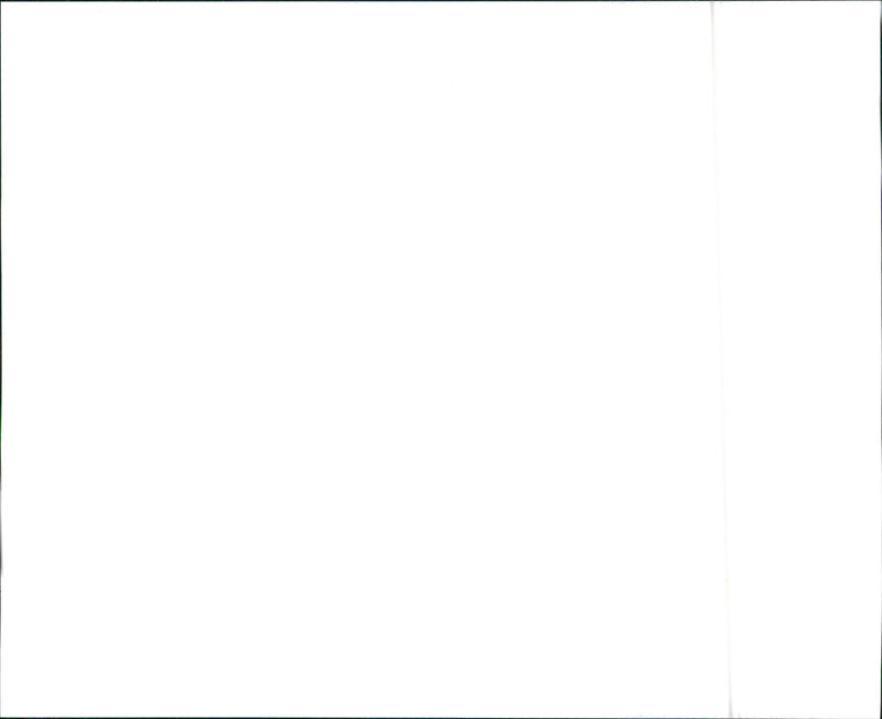 1995 Daihatsu - Vintage Photograph