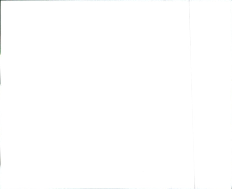 Hyundai New Elantra Wagon - Vintage Photograph