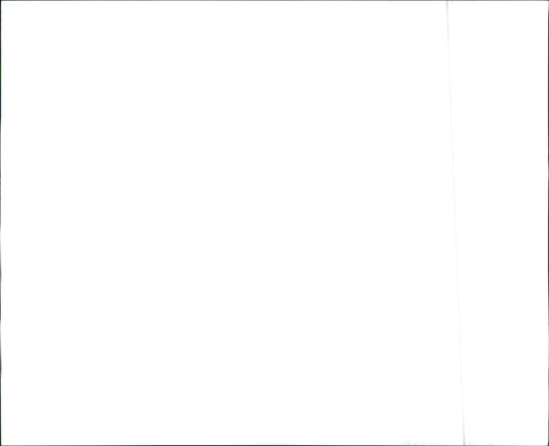 Hyundai New Elantra - Vintage Photograph