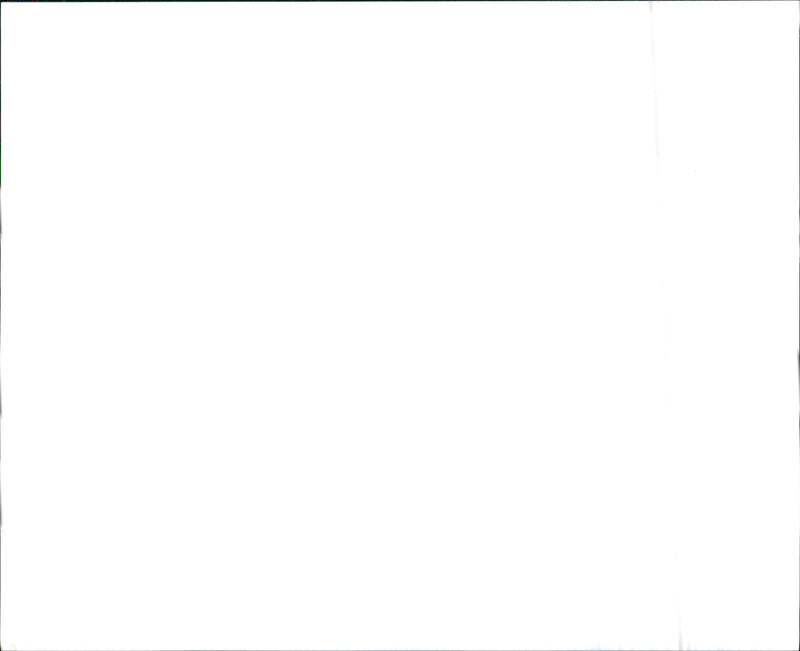 Hyundai New Elantra Wagon - Vintage Photograph